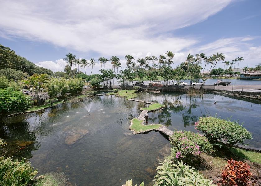 Hawaii Hilo View from room