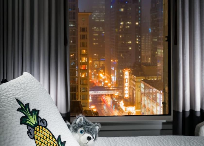 Illinois Chicago View from Property