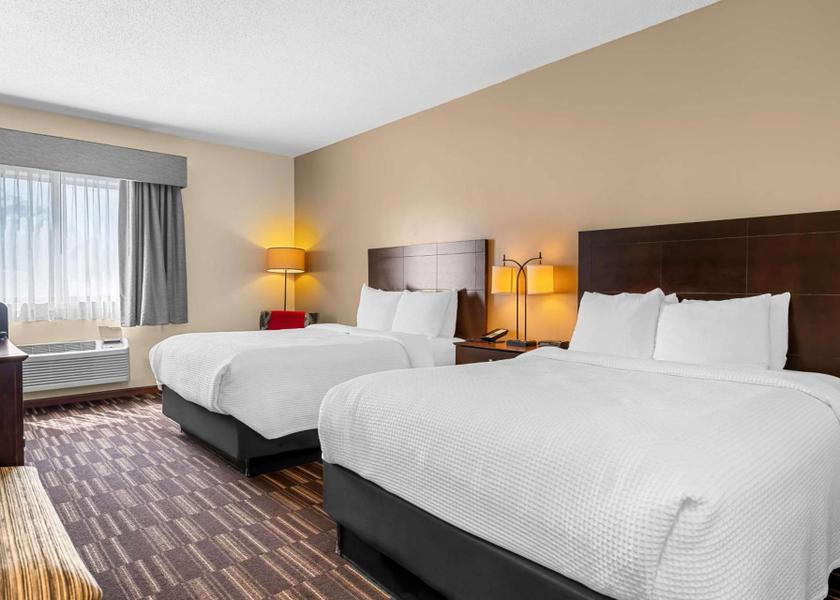 Illinois Urbana 2 queen beds, nonsmoking