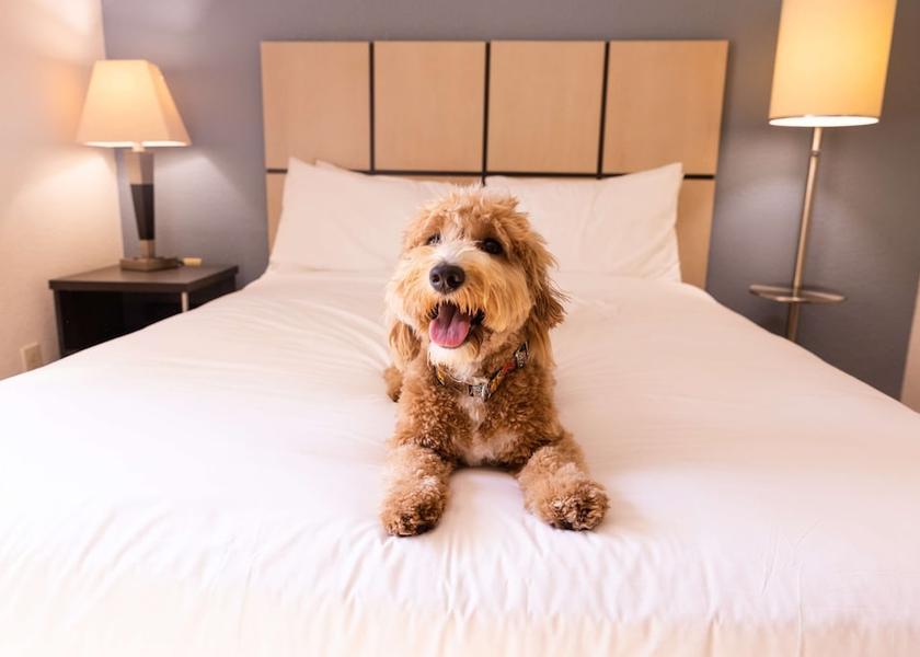 Illinois Warrenville In-Room Amenity