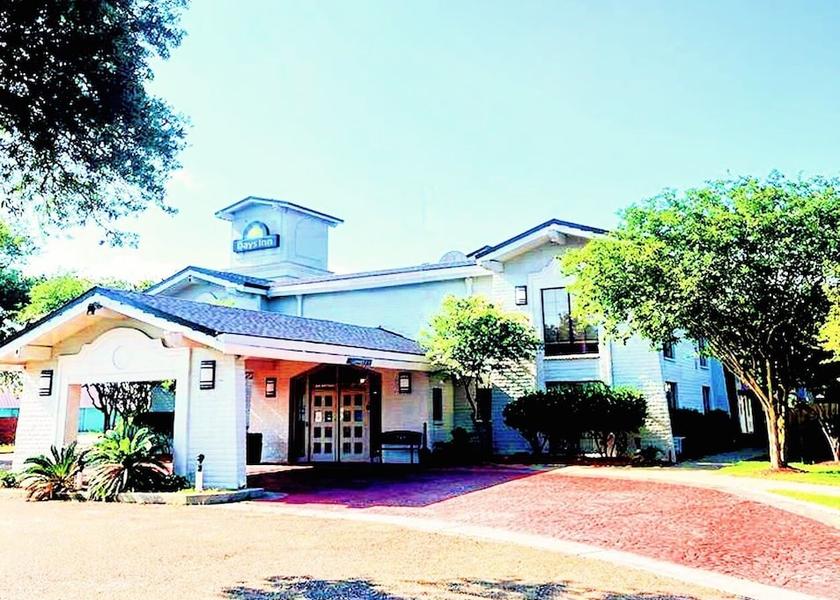 Louisiana Sulphur Primary image