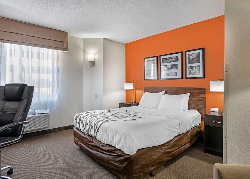 Michigan DeWitt Room