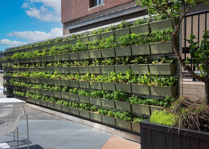 Michigan Grand Rapids Amenity