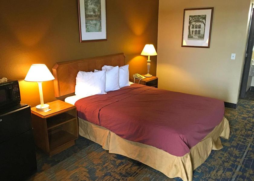 Michigan Livonia 1 King Bed Non-Smoking