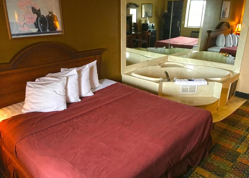 Michigan Livonia 1 King Bed Non-Smoking