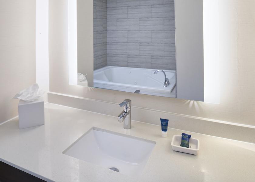 Michigan Novi Bathroom