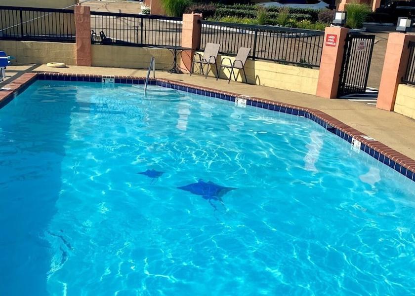 Mississippi Hernando Pool