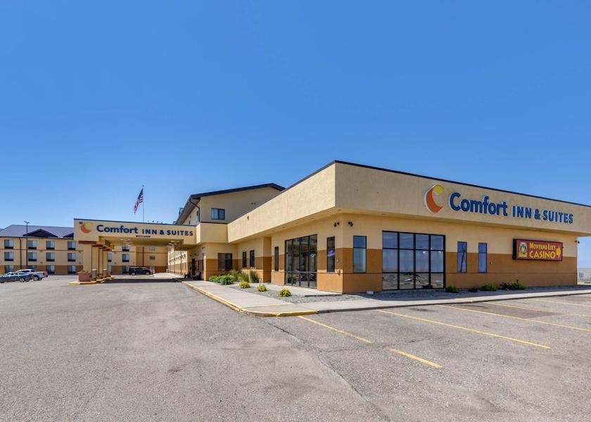 Montana Shelby Primary image