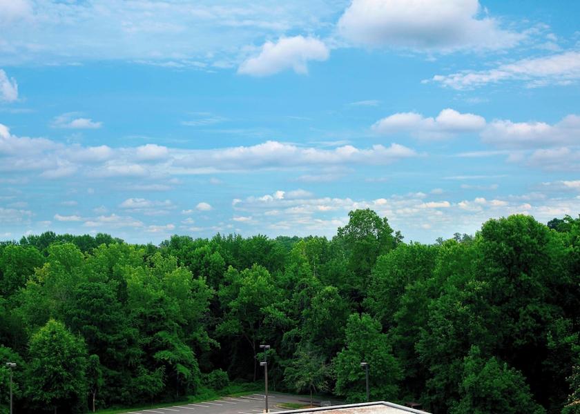 North Carolina Charlotte Room
