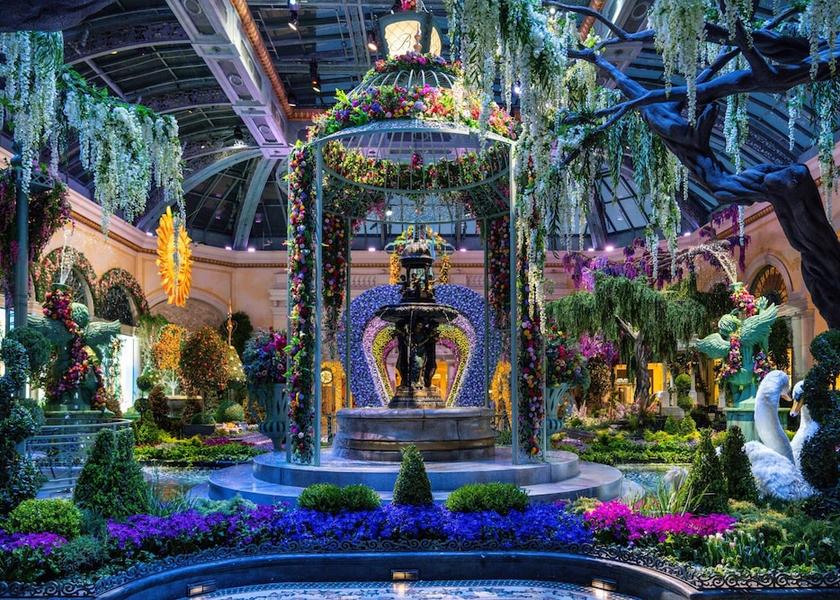 Nevada Las Vegas Amenity