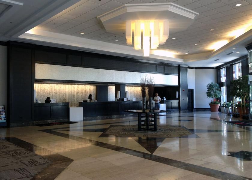 Wyoming Buffalo Reception