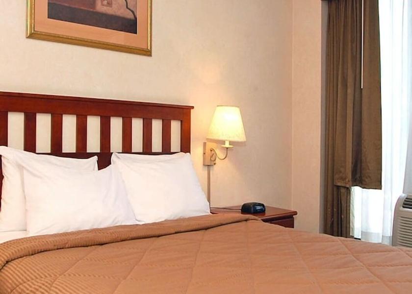 New York Long Island City Room