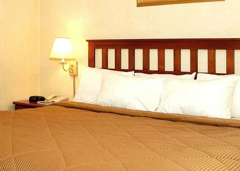 New York Long Island City Room