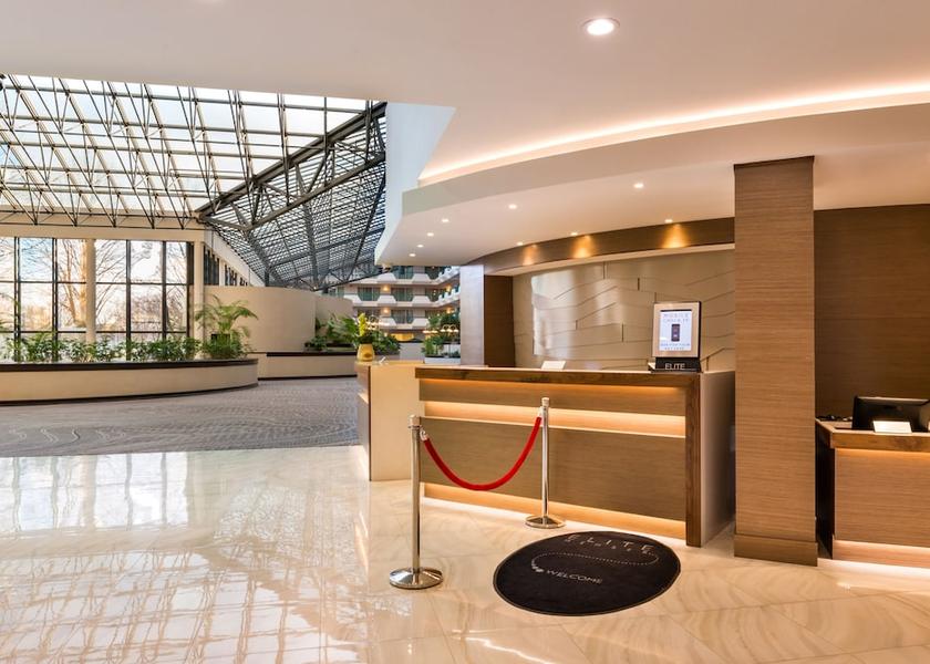 New York Melville Reception