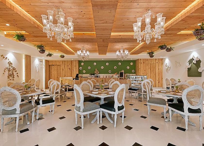 Uttar Pradesh Lucknow Food & Dining