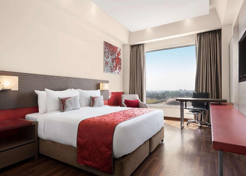 Uttar Pradesh Lucknow 1002