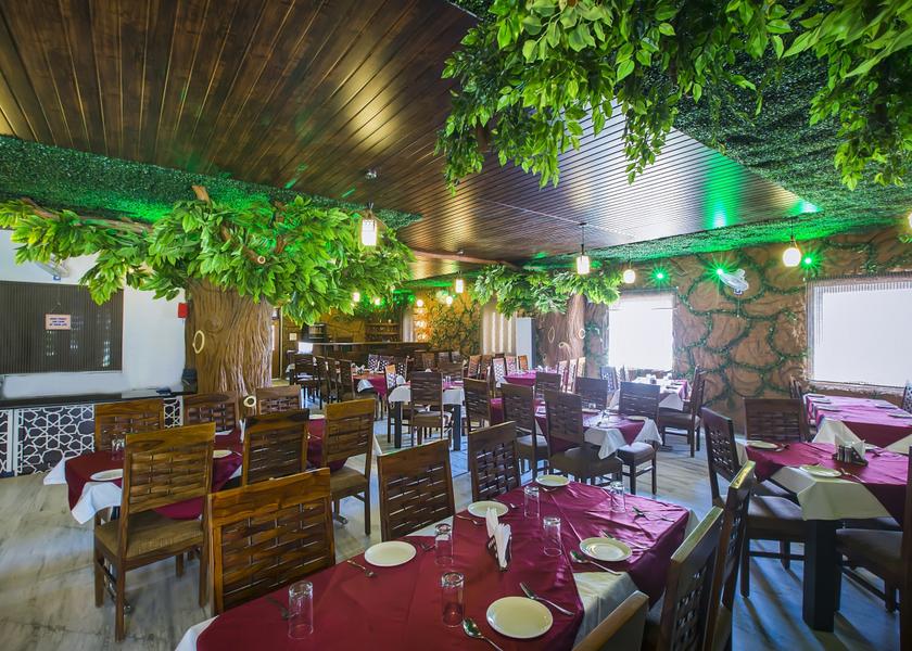 Rajasthan Jaipur Food & Dining