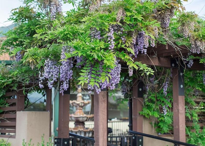 Oregon Medford Outdoor Dining
