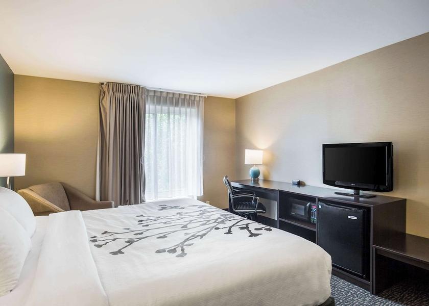 Pennsylvania Scranton Room