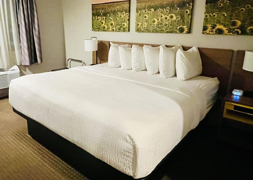 South Dakota Wall Room