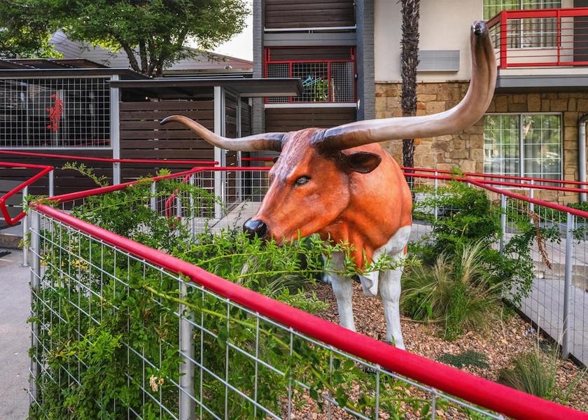 Texas Austin Exterior