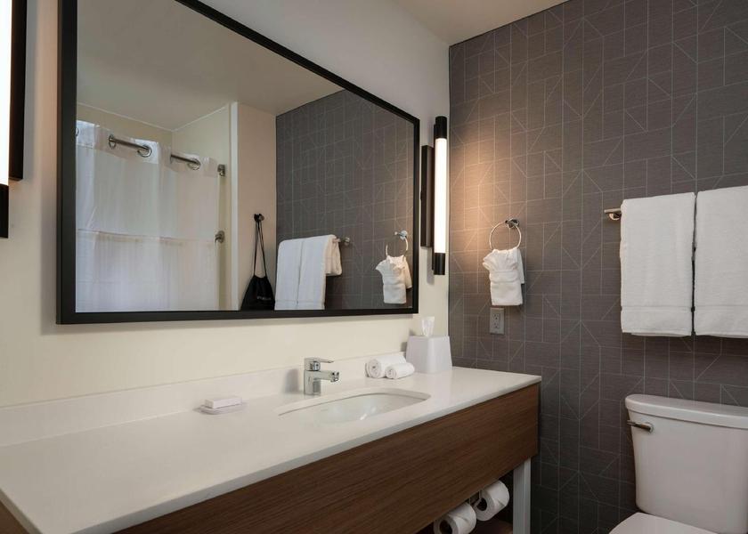 Texas Houston 1 King Mobility Accessible With 3 X3 Shower