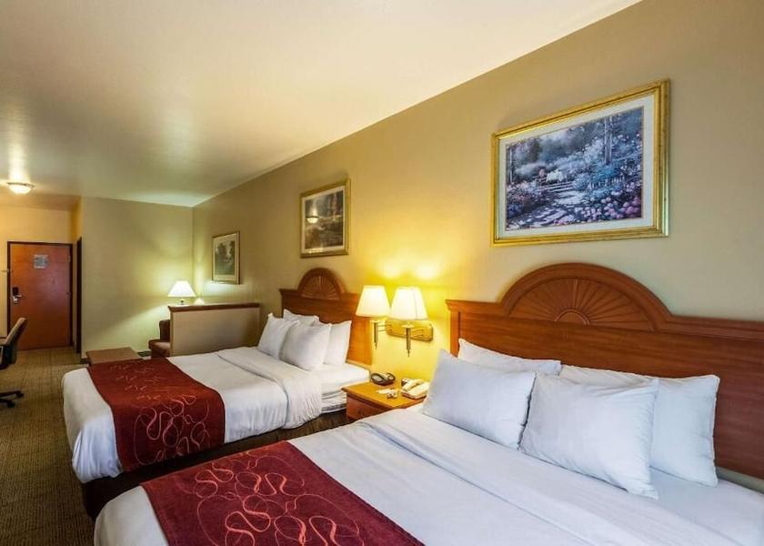 Texas Mesquite Room