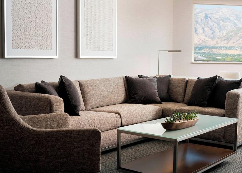 Utah Provo Living Area