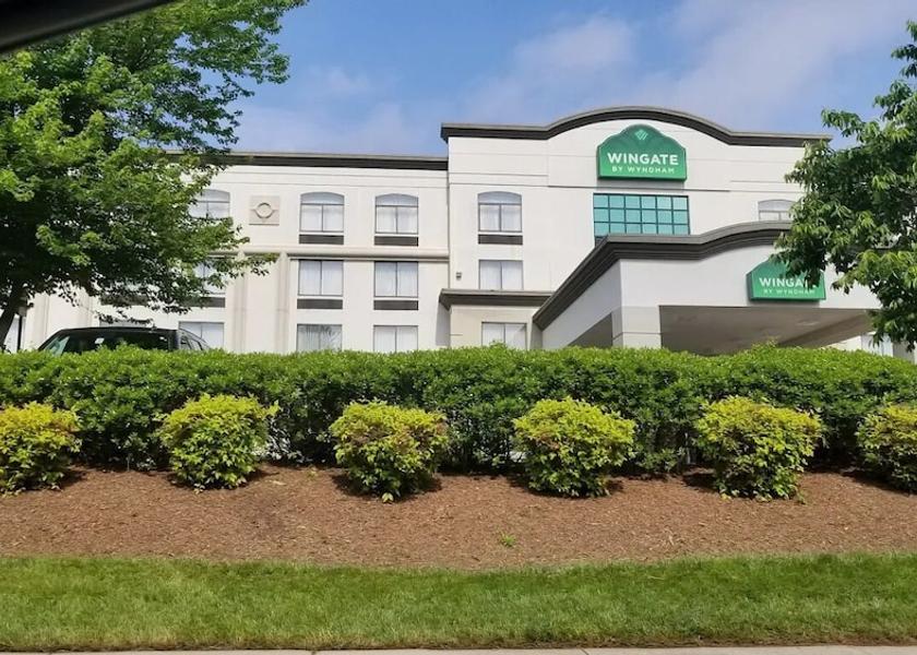 Virginia Chantilly Primary image