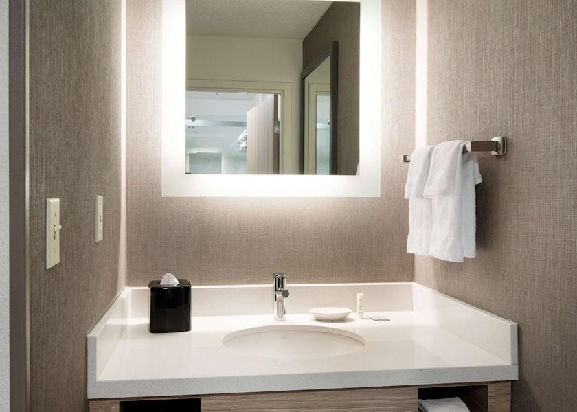 Washington Renton Bathroom