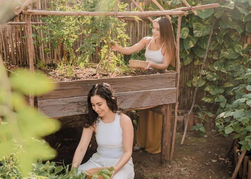 Quintana Roo Playa del Carmen Property Grounds