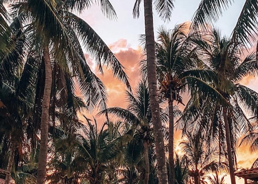 Quintana Roo Playa del Carmen Living Area