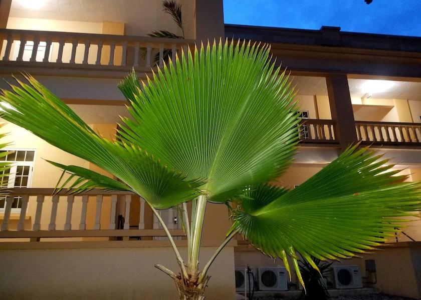  Guanica Garden