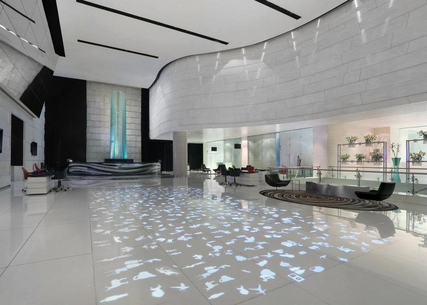 Homo Sapiens - A Digital Installation