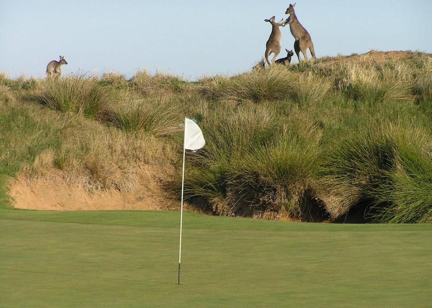 South Australia Normanville Golf