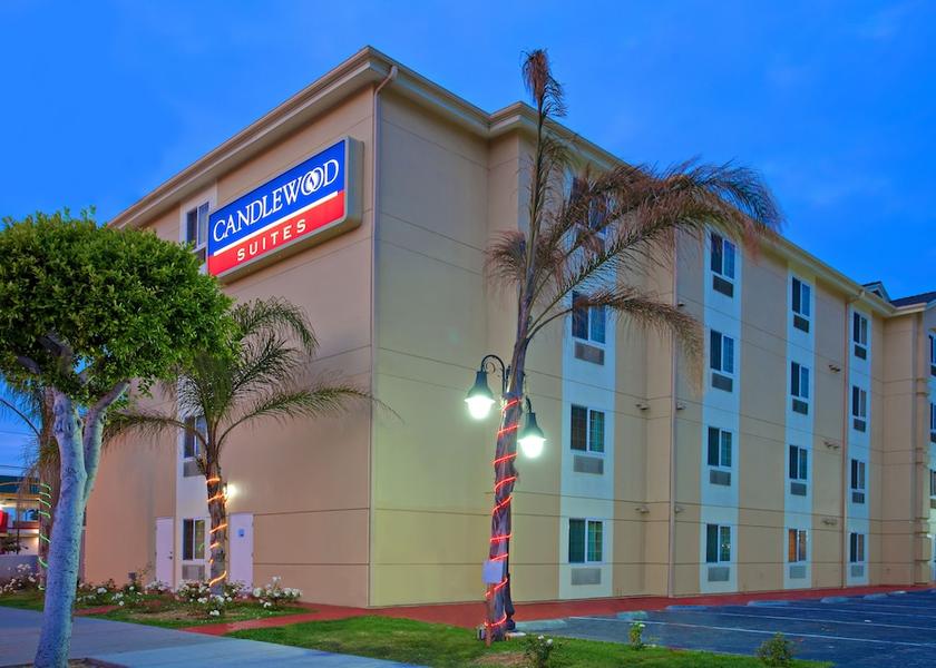 California Hawthorne Primary image