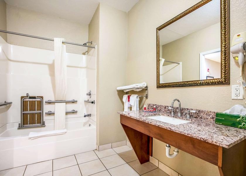 Mississippi Horn Lake Bathroom