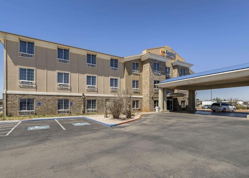 Texas Andrews Primary image