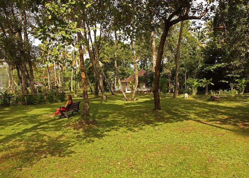 Kerala Mararikulam Property grounds