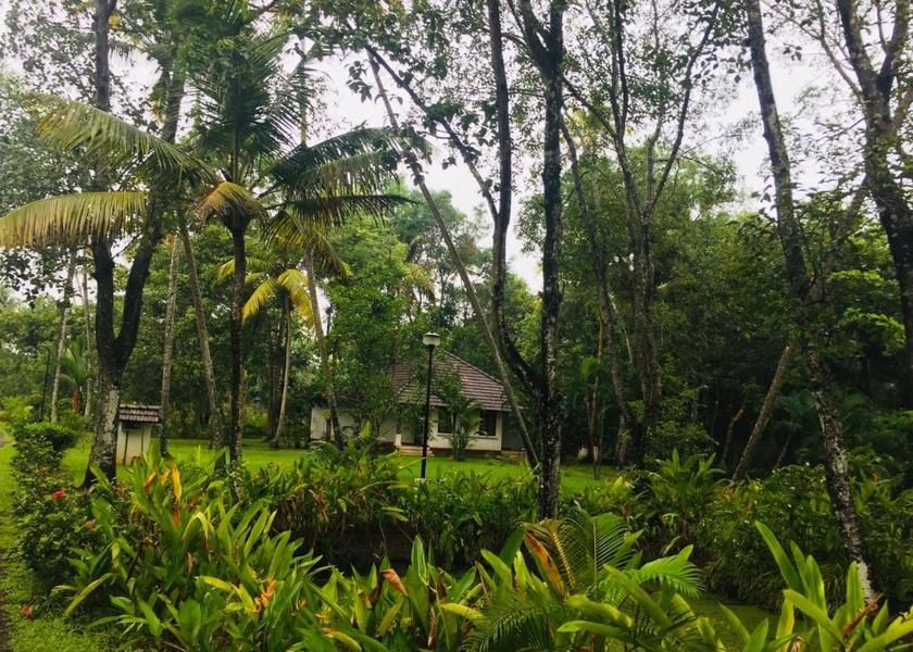 Kerala Mararikulam Outdoors