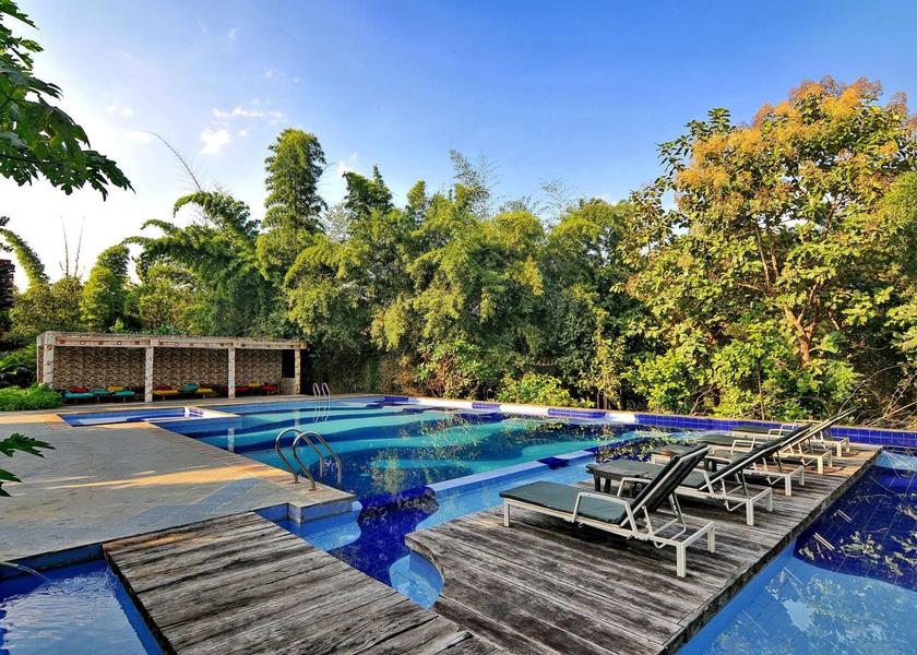 Madhya Pradesh Kanha Pool