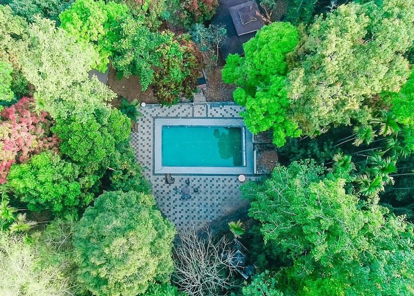 Kerala Wayanad Primary image