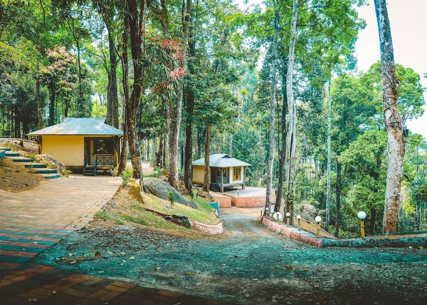 Kerala Wayanad Room