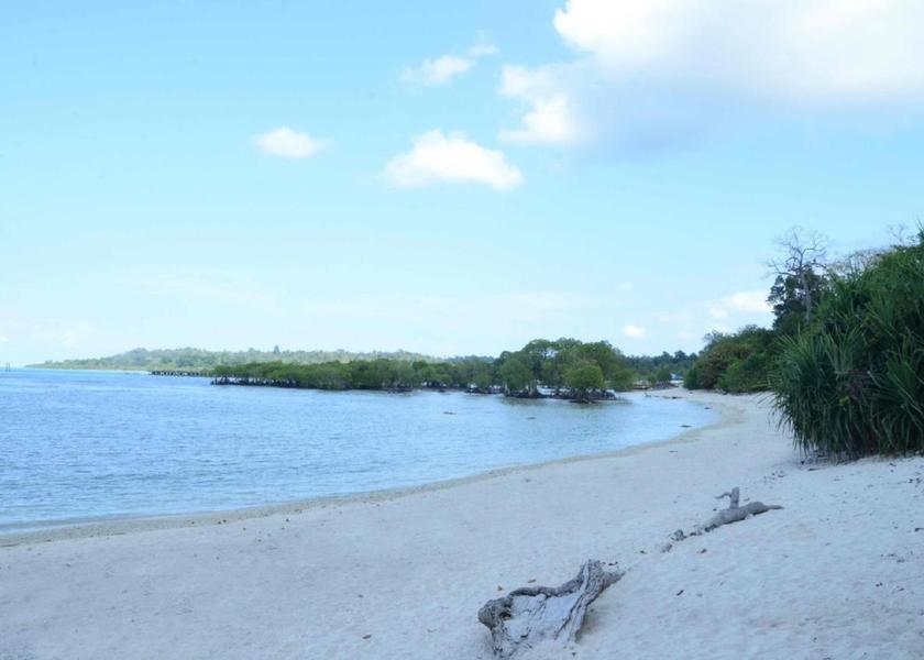 Andaman and Nicobar Neil Island Hotel View