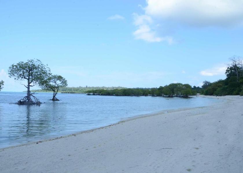Andaman and Nicobar Neil Island Hotel View
