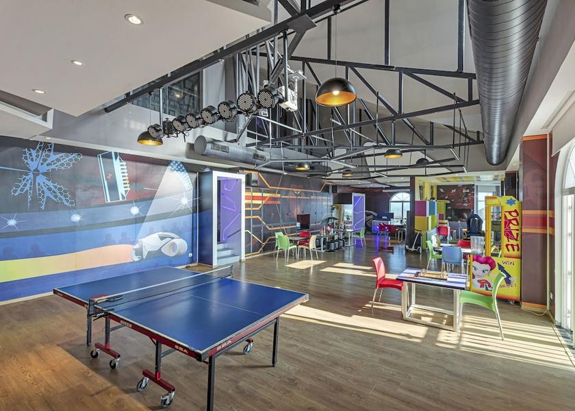 Himachal Pradesh Naldehra Game room