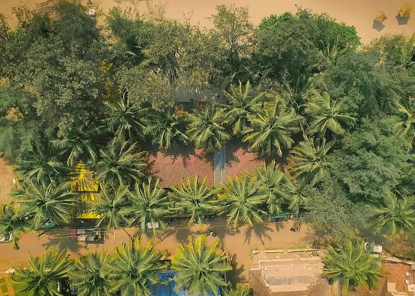 Goa Morjim Hotel View
