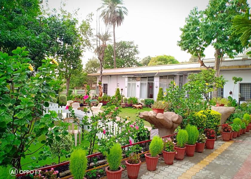 Rajasthan Mount Abu Primary image