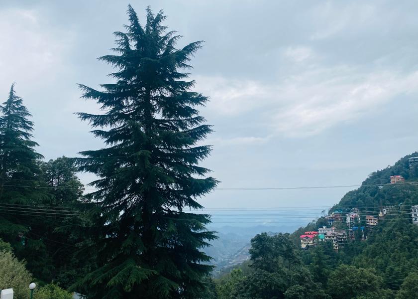 Himachal Pradesh Dalhousie Hotel View