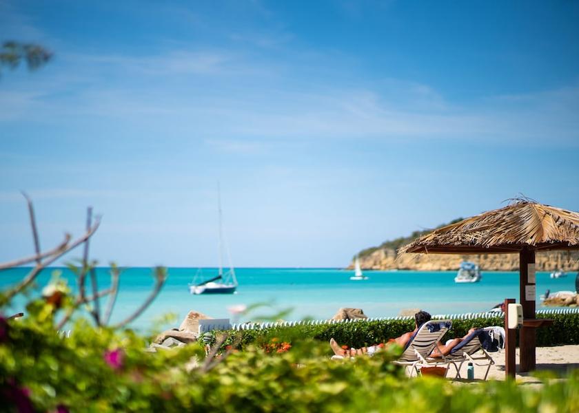 Saint John St. John's Primary image